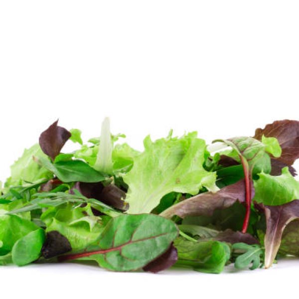 Green and red leaf of lettuce. Isolated in a white background. Close-up