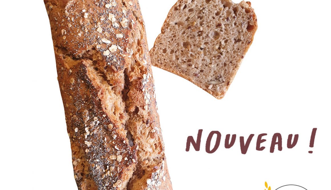 PAIN NORDIQUE - 800g - BIO - FPS